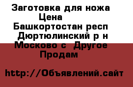 Заготовка для ножа › Цена ­ 500 - Башкортостан респ., Дюртюлинский р-н, Москово с. Другое » Продам   